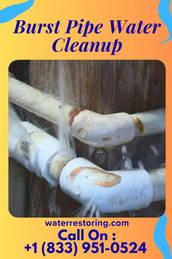 Burst Pipe Water Cleanup in Lexington, SC
