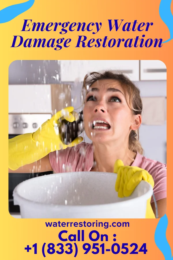 Emergency Water Damage Restoration in Lexington, SC
