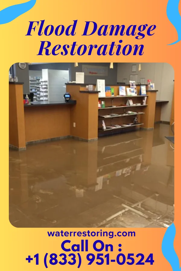 Flood Damage Restoration in Lexington, SC