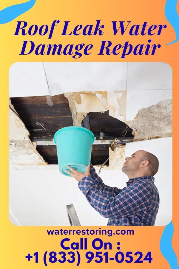 Roof Leak Water Damage Repair in Lexington, SC