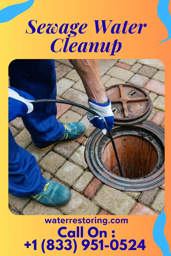 Sewage Water Cleanup in Lexington, SC