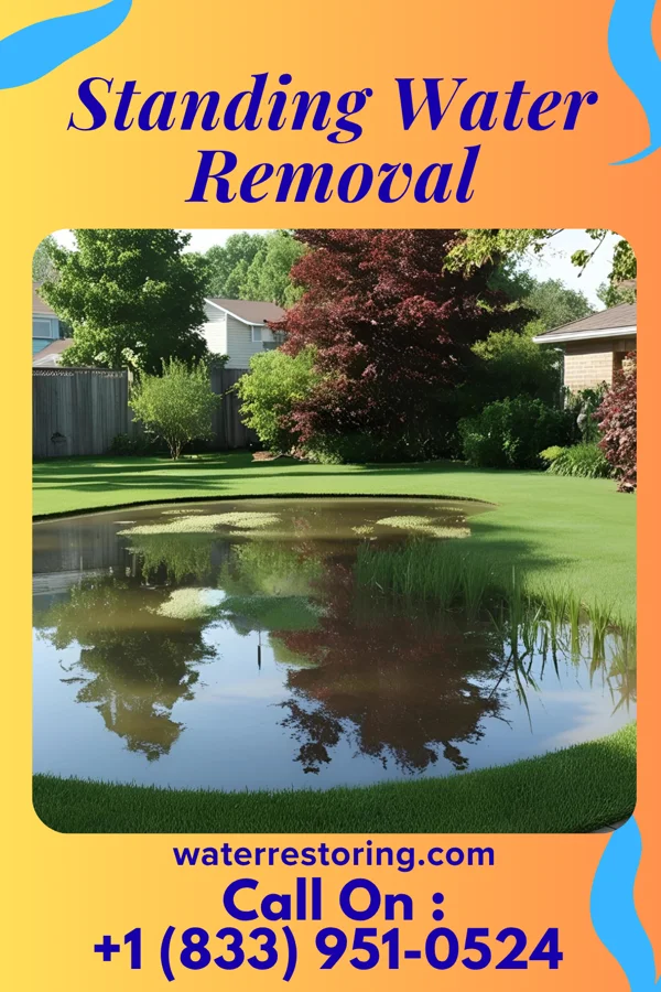 Standing Water Removal in Lexington, SC